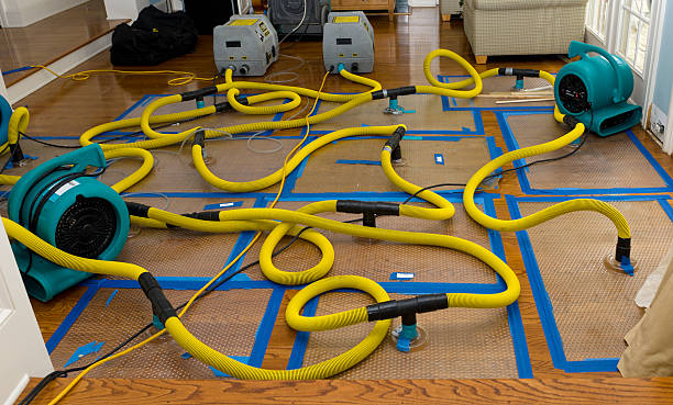 Professional Burst Pipe Water Damage technician working in Montrose, MN